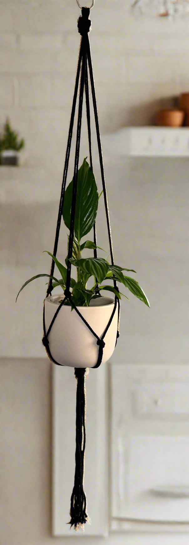 Plant & Pot Hanger - Black