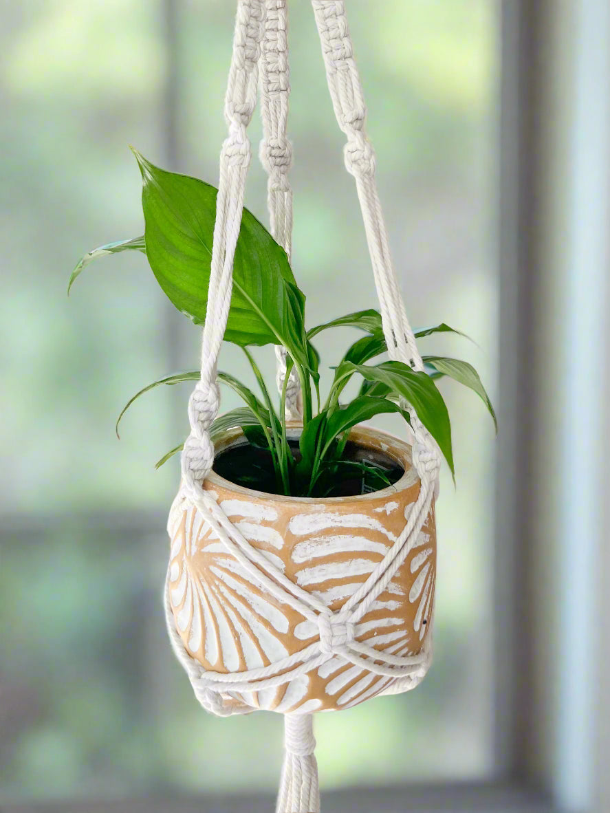 Plant & Pot Hanger - White