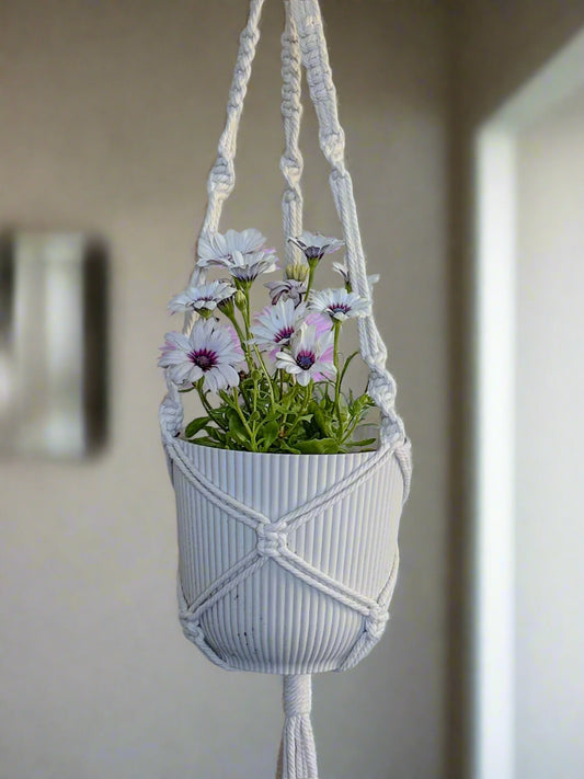 Plant & Pot Hanger - White