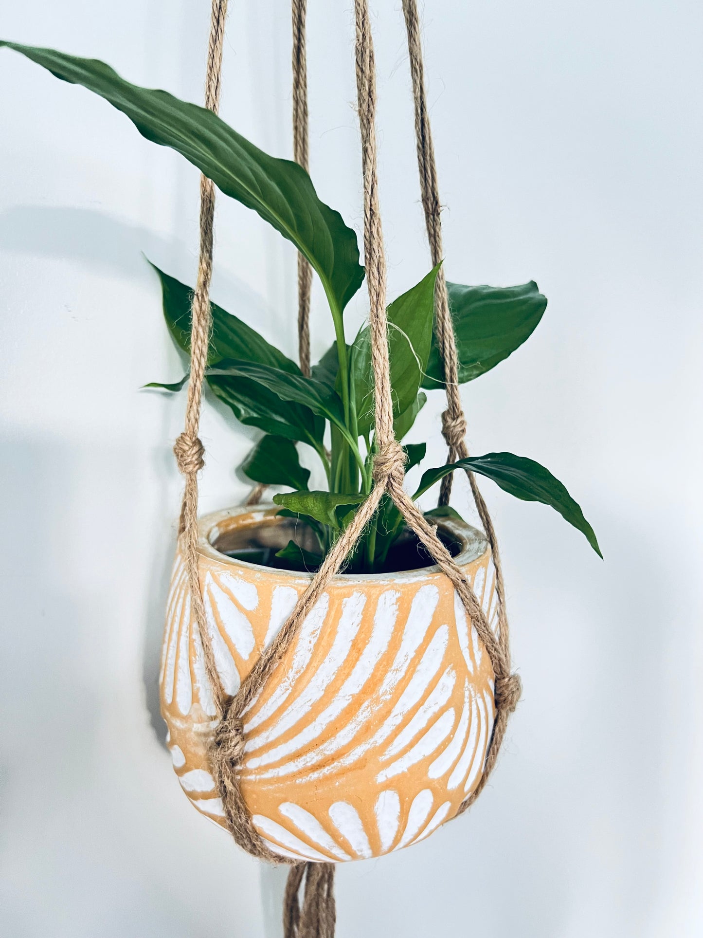 Plant & Pot Hanger - Jute