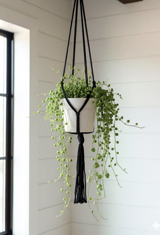 Black Macrame Plant Hanger